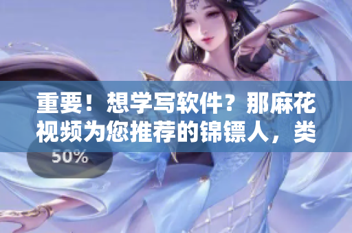 重要！想学写软件？那麻花视频为您推荐的锦镖人，类比软件编程，带你飞升！