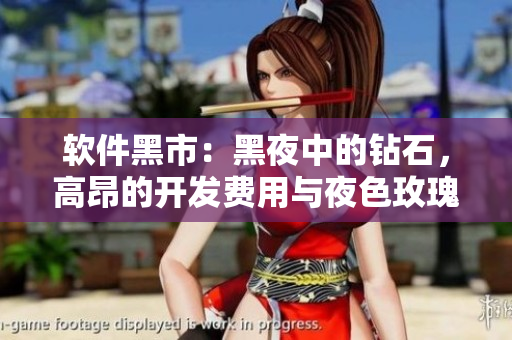 软件黑市：黑夜中的钻石，高昂的开发费用与夜色玫瑰有何不同？