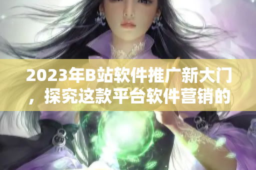 2023年B站软件推广新大门，探究这款平台软件营销的秘密！