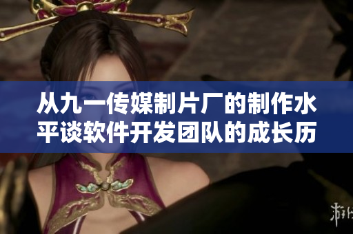 从九一传媒制片厂的制作水平谈软件开发团队的成长历程