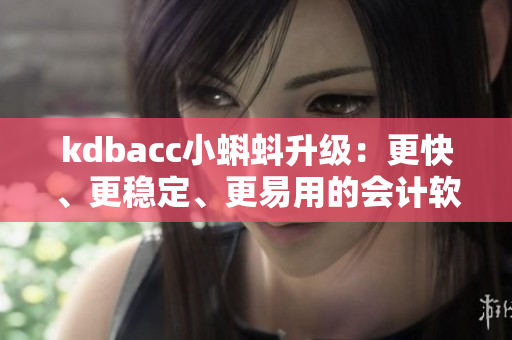 kdbacc小蝌蚪升级：更快、更稳定、更易用的会计软件