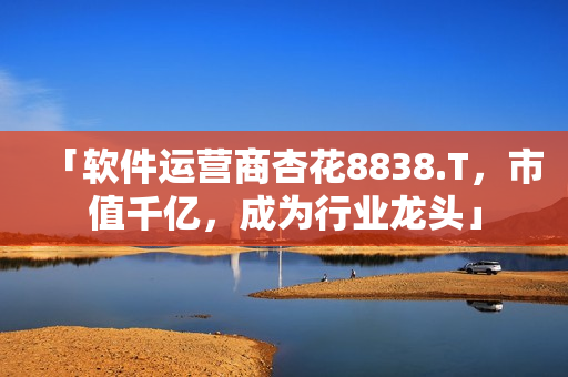 「软件运营商杏花8838.T，市值千亿，成为行业龙头」