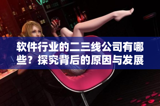 软件行业的二三线公司有哪些？探究背后的原因与发展态势