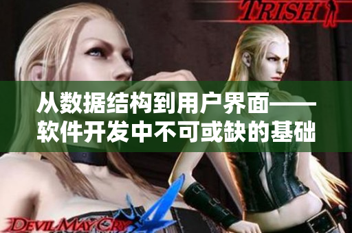 从数据结构到用户界面——软件开发中不可或缺的基础与创意性