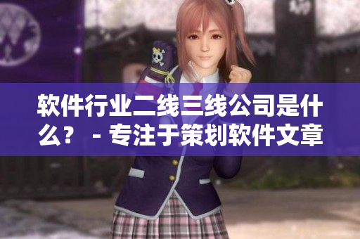 软件行业二线三线公司是什么？ - 专注于策划软件文章的编辑