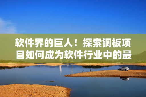 软件界的巨人！探索铜板项目如何成为软件行业中的最佳实践