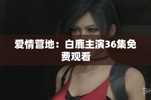 爱情营地：白鹿主演36集免费观看