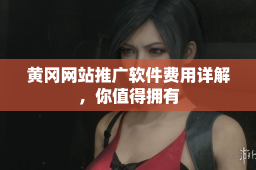 黄冈网站推广软件费用详解，你值得拥有