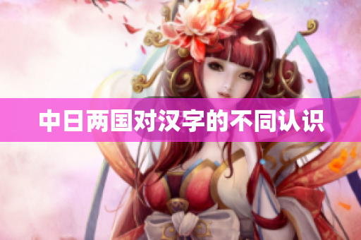 中日两国对汉字的不同认识
