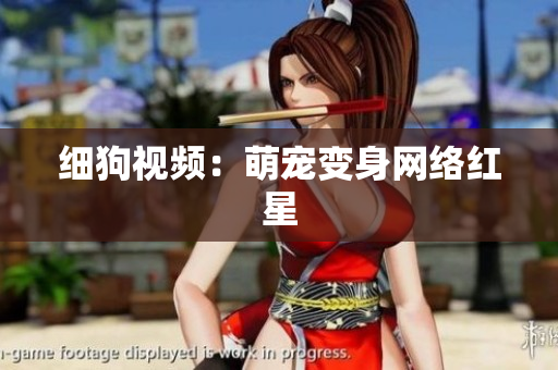 细狗视频：萌宠变身网络红星