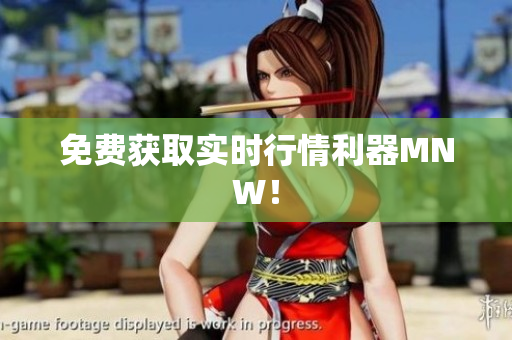 免费获取实时行情利器MNW！