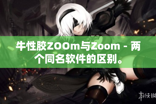 牛性胶ZOOm与Zoom - 两个同名软件的区别。