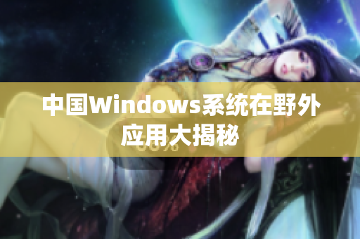 中国Windows系统在野外应用大揭秘