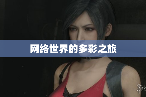 网络世界的多彩之旅