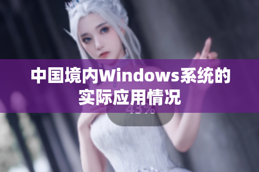 中国境内Windows系统的实际应用情况