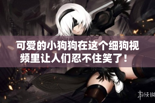 可爱的小狗狗在这个细狗视频里让人们忍不住笑了！ 令人捧腹的小狗狗视频，欢乐无限！