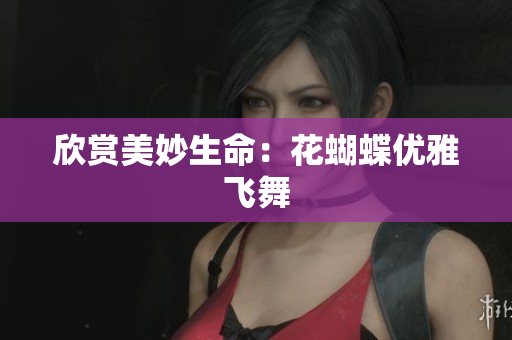 欣赏美妙生命：花蝴蝶优雅飞舞