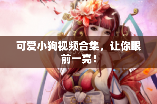 可爱小狗视频合集，让你眼前一亮！