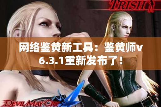 网络鉴黄新工具：鉴黄师v6.3.1重新发布了！