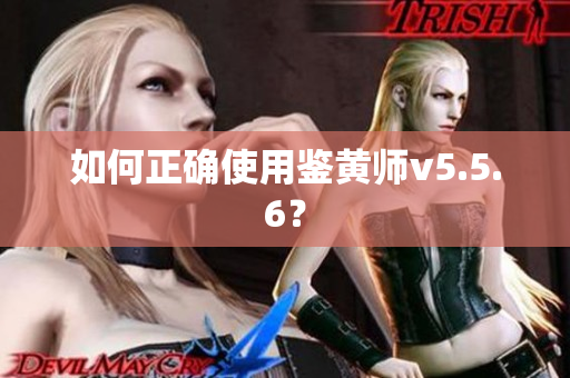 如何正确使用鉴黄师v5.5.6？