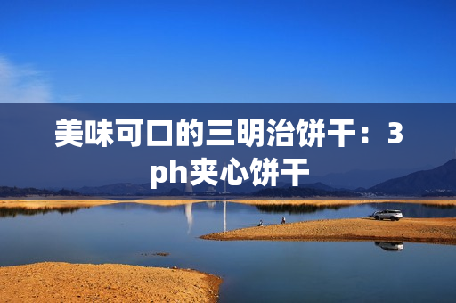 美味可口的三明治饼干：3ph夹心饼干