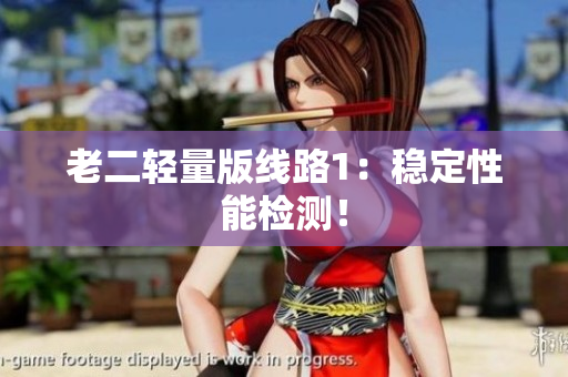 老二轻量版线路1：稳定性能检测！