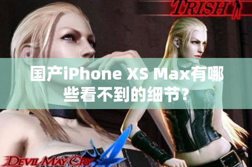 国产iPhone XS Max有哪些看不到的细节？
