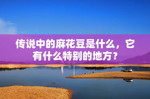 传说中的麻花豆是什么，它有什么特别的地方？