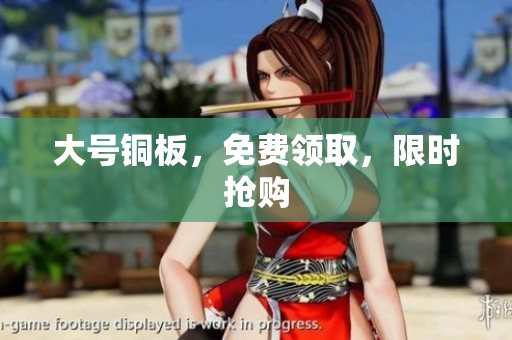 大号铜板，免费领取，限时抢购