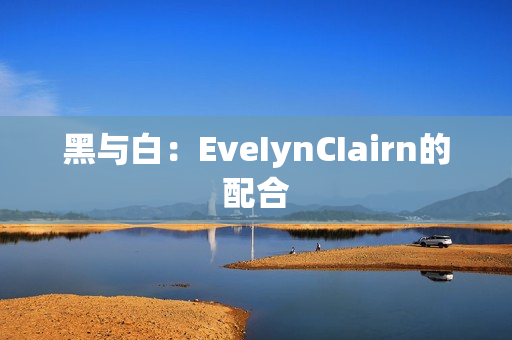 黑与白：EveIynCIairn的配合