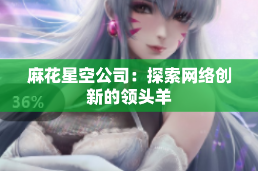 麻花星空公司：探索网络创新的领头羊