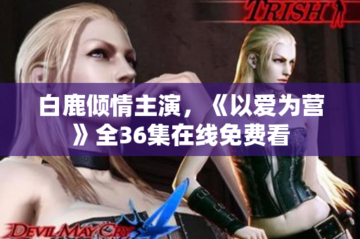 白鹿倾情主演，《以爱为营》全36集在线免费看