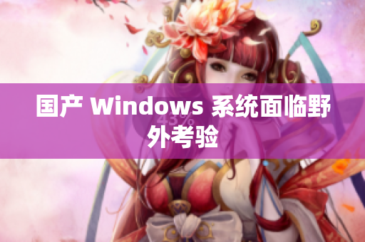 国产 Windows 系统面临野外考验