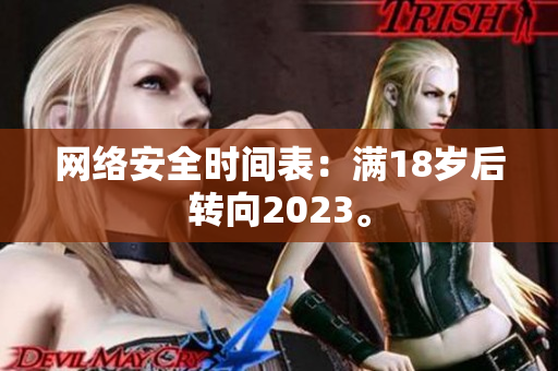 网络安全时间表：满18岁后转向2023。