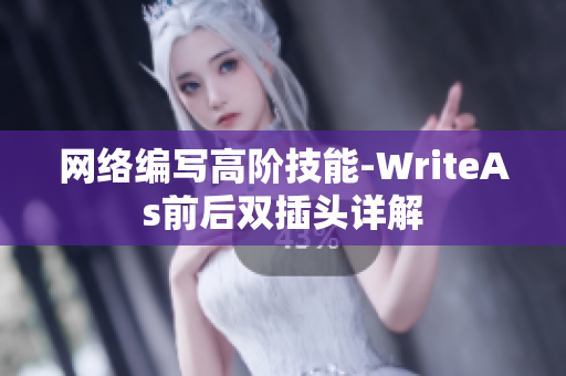 网络编写高阶技能-WriteAs前后双插头详解