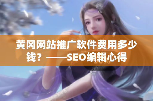 黄冈网站推广软件费用多少钱？——SEO编辑心得