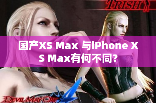 国产XS Max 与iPhone XS Max有何不同？