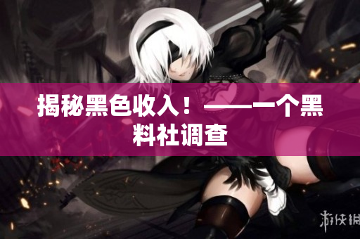 揭秘黑色收入！——一个黑料社调查