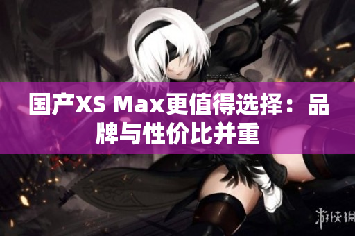 国产XS Max更值得选择：品牌与性价比并重