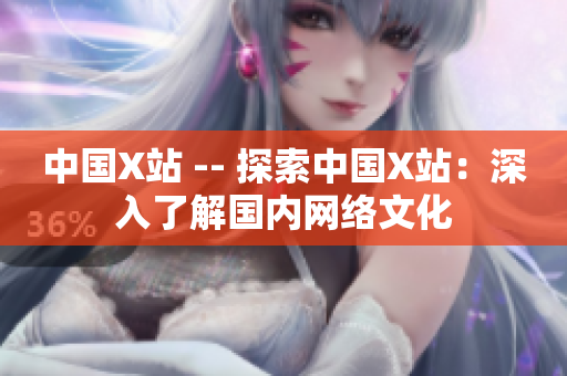 中国X站 -- 探索中国X站：深入了解国内网络文化
