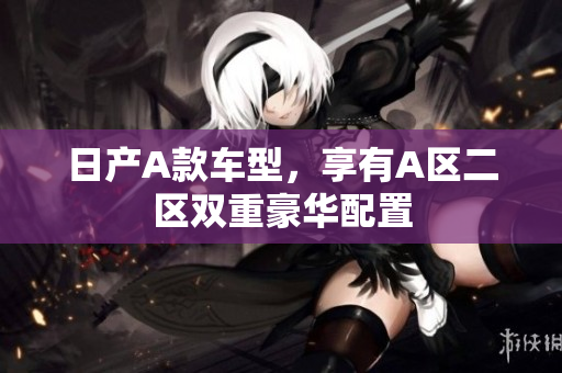 日产A款车型，享有A区二区双重豪华配置