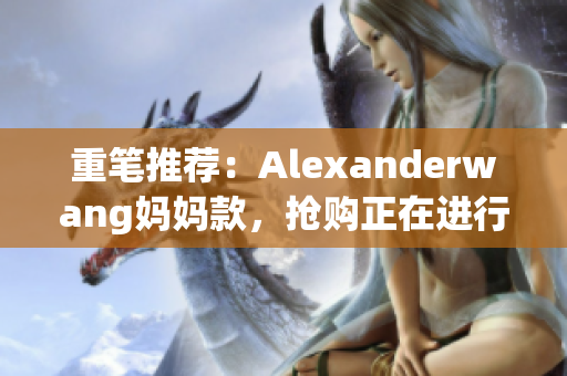 重笔推荐：Alexanderwang妈妈款，抢购正在进行！