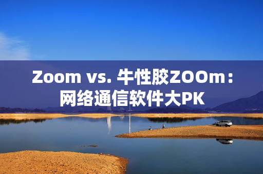 Zoom vs. 牛性胶ZOOm：网络通信软件大PK
