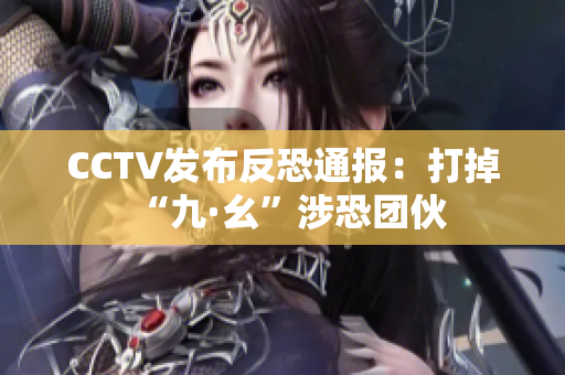 CCTV发布反恐通报：打掉“九·幺”涉恐团伙