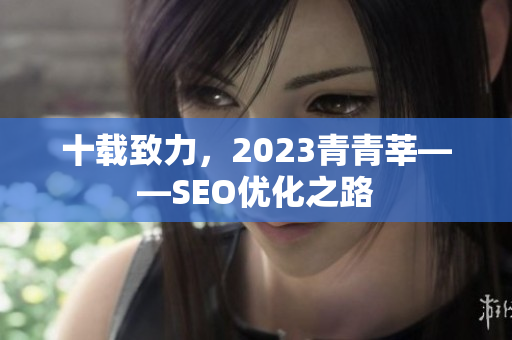 十载致力，2023青青莘——SEO优化之路