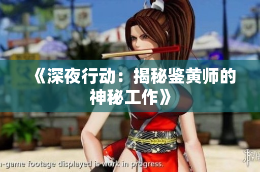 《深夜行动：揭秘鉴黄师的神秘工作》