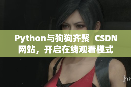 Python与狗狗齐聚  CSDN网站，开启在线观看模式