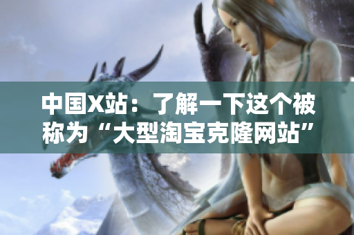 中国X站：了解一下这个被称为“大型淘宝克隆网站”的平台