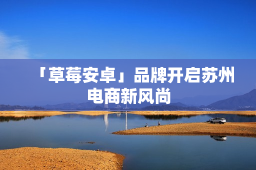 「草莓安卓」品牌开启苏州电商新风尚