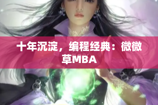十年沉淀，编程经典：微微草MBA